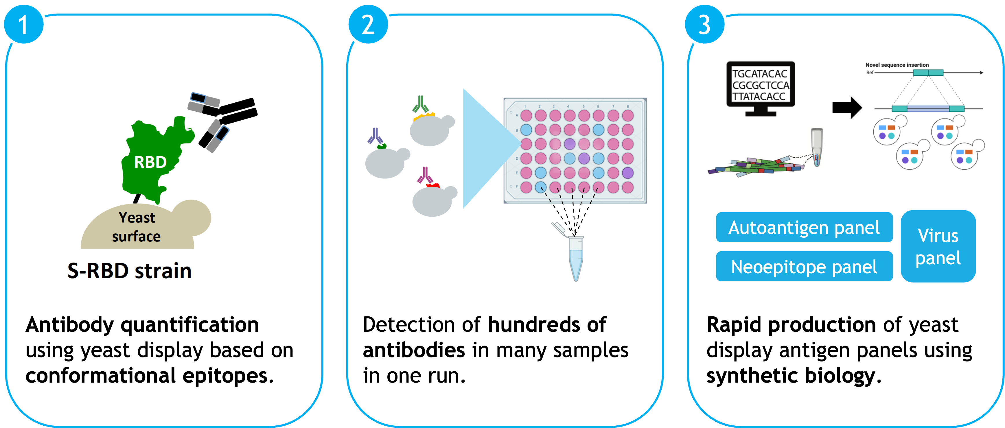 Seromux technology for multiplexed antibody quantification